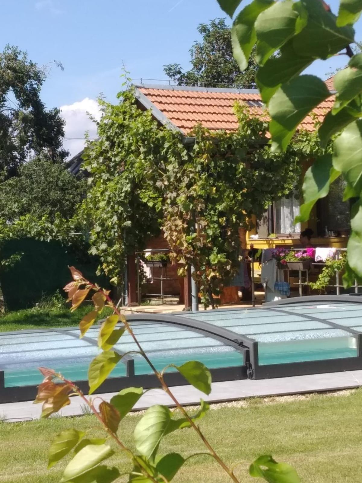 Chalupa V Meruňkovém Sadu Šakvice Habitación foto